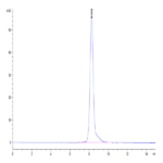 Human SELL/CD62L Protein (SEL-HM10L)