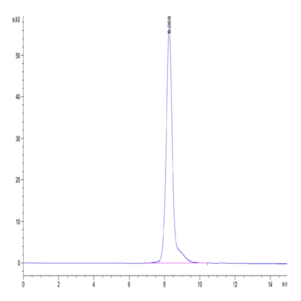 Human SELL/CD62L Protein (SEL-HM10L) Human SELL/CD62L Protein (SEL-HM10L)
