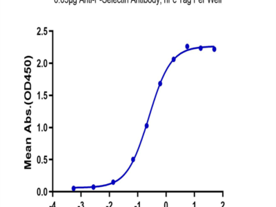 Human SEZ6L2 Protein (SEZ-HM1L2)