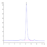 Mouse SELL/CD62L Protein (SEL-MM10L)