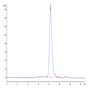 Mouse SELL/CD62L Protein (SEL-MM10L)