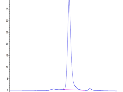 Mouse SELL/CD62L Protein (SEL-MM10L)