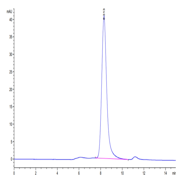 Mouse SELL/CD62L Protein (SEL-MM10L) Mouse SELL/CD62L Protein (SEL-MM10L)