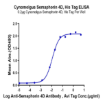 Cynomolgus Semaphorin 4D/SEMA4D/CD100 Protein (SEM-CM14D)