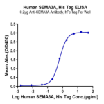Human SEMA3A Protein (SEM-HM13A)