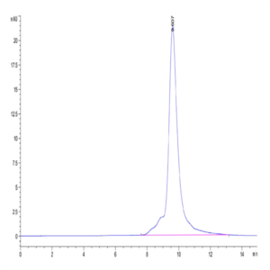 Human SEMA3A Protein (SEM-HM13A)