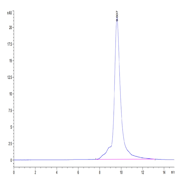 Human SEMA3A Protein (SEM-HM13A)