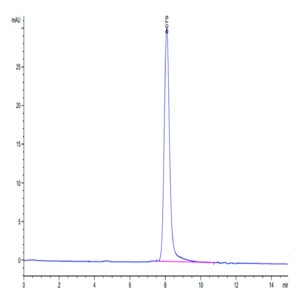 Human SEMA4B Protein (SEM-HM14B) Human SEMA4B Protein (SEM-HM14B)