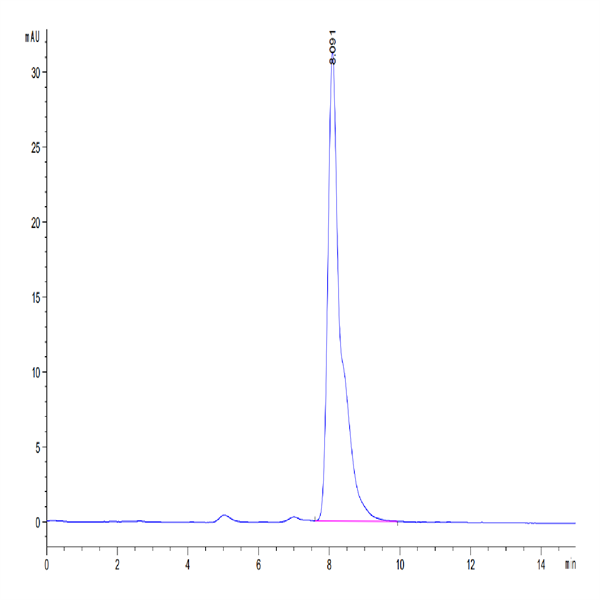 Human SEMA7A Protein (SEM-HM17A)