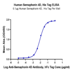 Human Semaphorin 4D/SEMA4D/CD100 Protein (SEM-HM44D)