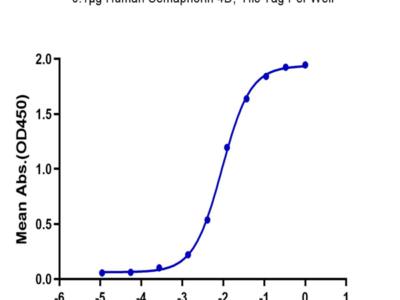 Human Semaphorin 4D/SEMA4D/CD100 Protein (SEM-HM44D)