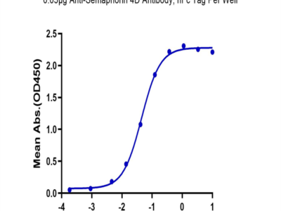 Biotinylated Human Semaphorin 4D/SEMA4D/CD100 Protein (SEM-HM44DB)