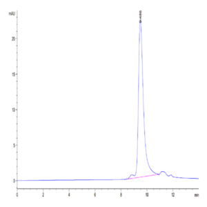 Mouse SEMA3A Protein (SEM-MM13A)