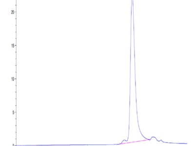 Mouse SEMA3A Protein (SEM-MM13A)