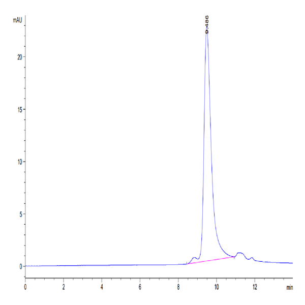 Mouse SEMA3A Protein (SEM-MM13A)