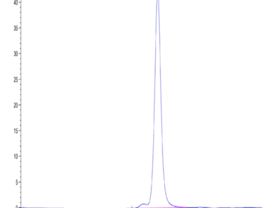 Mouse SEMA4B Protein (SEM-MM14B)