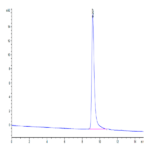 Rat Serpina3n Protein (SEP-RM101)