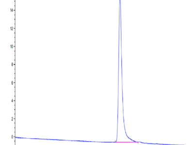 Rat Serpina3n Protein (SEP-RM101)