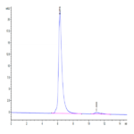 Cynomolgus SEZ6 Protein (SEZ-CM106)