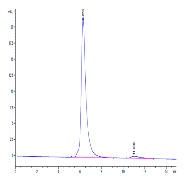 Cynomolgus SEZ6 Protein (SEZ-CM106)