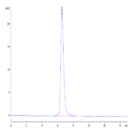 Human SEZ6L2 Protein (SEZ-HM1L2)