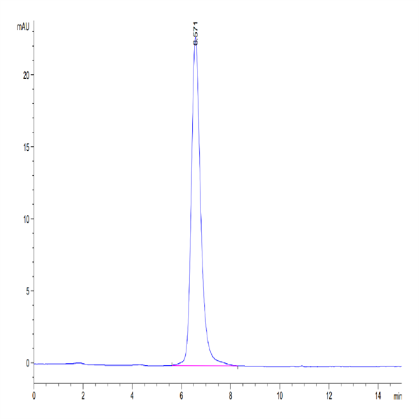 Human SEZ6L2 Protein (SEZ-HM1L2) Human SEZ6L2 Protein (SEZ-HM1L2)