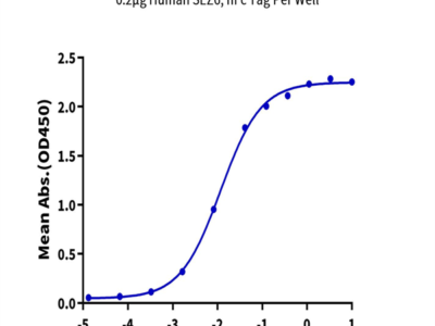 Human SEZ6 Protein (SEZ-HM206)