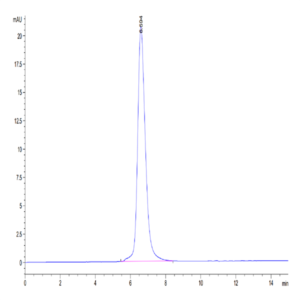 Mouse SEZ6L2 Protein (SEZ-MM1L2)