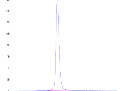 Mouse SEZ6L2 Protein (SEZ-MM1L2)