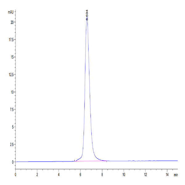 Mouse SEZ6L2 Protein (SEZ-MM1L2)