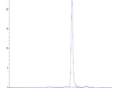 Human Serpin F1/PEDF Protein (SF1-HM101)