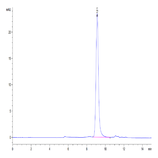 Human Serpin F1/PEDF Protein (SF1-HM101)
