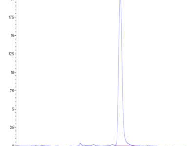 Mouse Serpin F1/PEDF Protein (SF1-MM101)