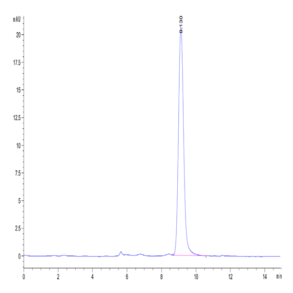 Mouse Serpin F1/PEDF Protein (SF1-MM101) Mouse Serpin F1/PEDF Protein (SF1-MM101)