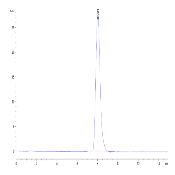 Human SIGIRR Protein (SGR-HM201) Human SIGIRR Protein (SGR-HM201)
