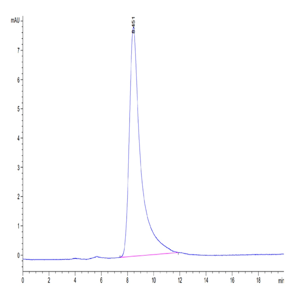 Mouse SG3/Secretogranin 3 Protein (SGS-MM101) Mouse SG3/Secretogranin 3 Protein (SGS-MM101)
