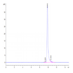 Human Sonic Hedgehog (Shh) Protein (SHH-HE001)