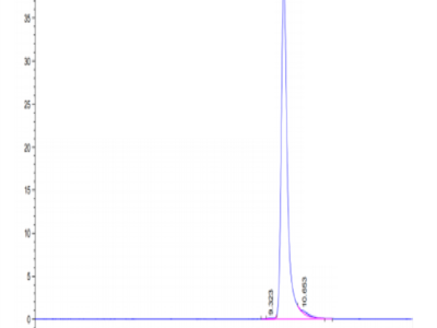 Human Sonic Hedgehog (Shh) Protein (SHH-HE001)