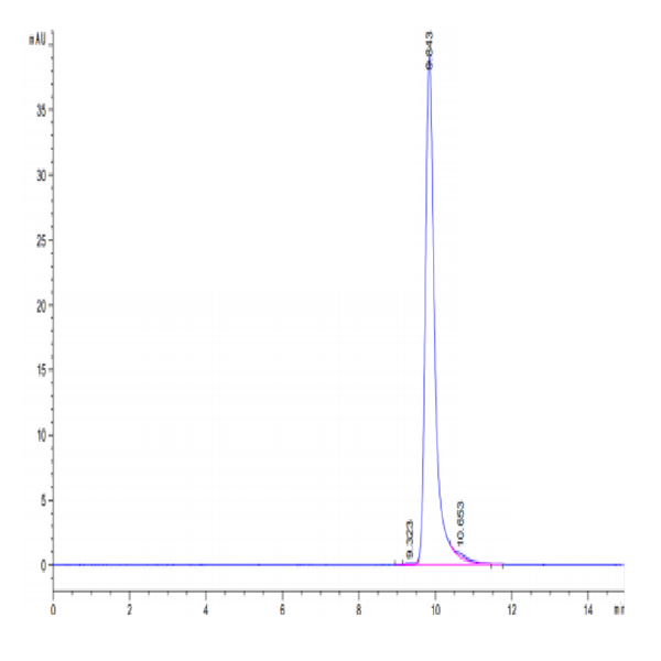 Human Sonic Hedgehog (Shh) Protein (SHH-HE001) Human Sonic Hedgehog (Shh) Protein (SHH-HE001)