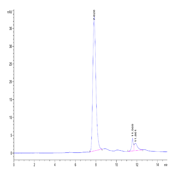 Biotinylated Cynomolgus Siglec-10 Protein (Primary Amine Labeling) (SIG-CM110B)