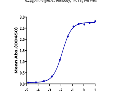 Biotinylated Cynomolgus Siglec-15/CD33L3 Protein (SIG-CM415B)