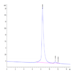 Biotinylated Cynomolgus Siglec-15/CD33L3 Protein (SIG-CM415B)