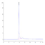 Human CD209/DC-SIGN Protein (SIG-HM101)