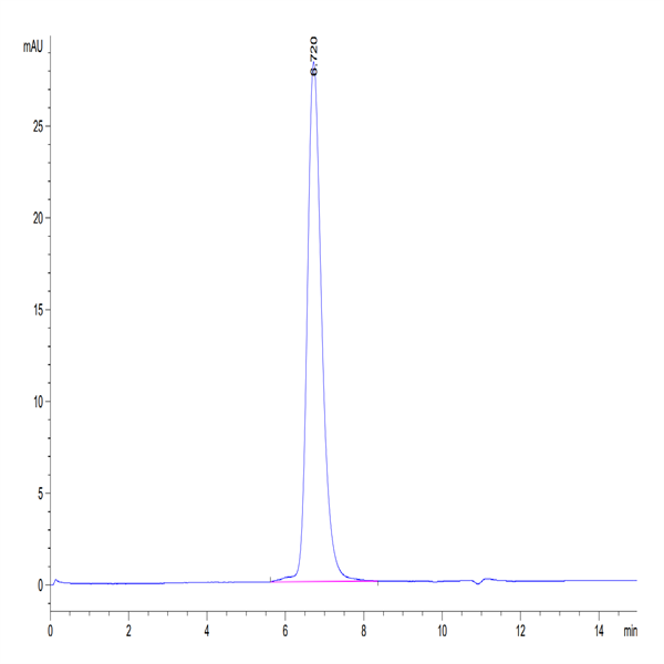 Human Siglec-3/CD33 Protein (SIG-HM203)