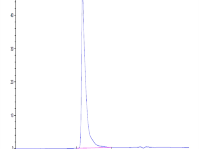 Human Siglec-8 Protein (SIG-HM208)