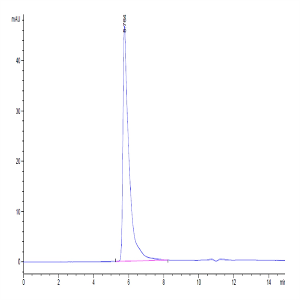 Human Siglec-8 Protein (SIG-HM208) Human Siglec-8 Protein (SIG-HM208)
