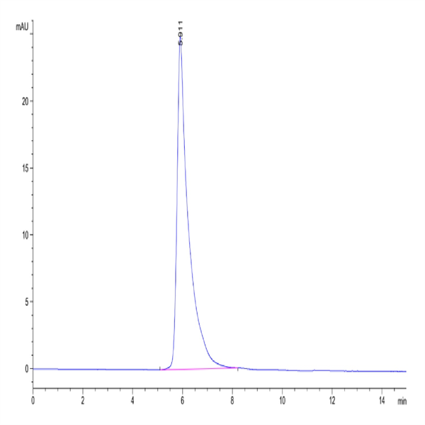 Human Siglec-4a/MAG Protein (SIG-HM24A)