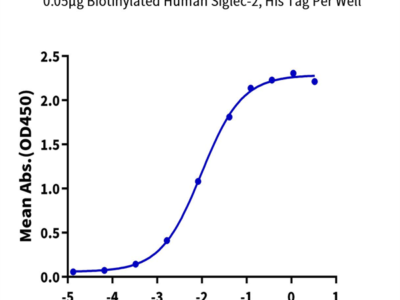 Biotinylated Human Siglec-2/CD22 Protein (SIG-HM412B)