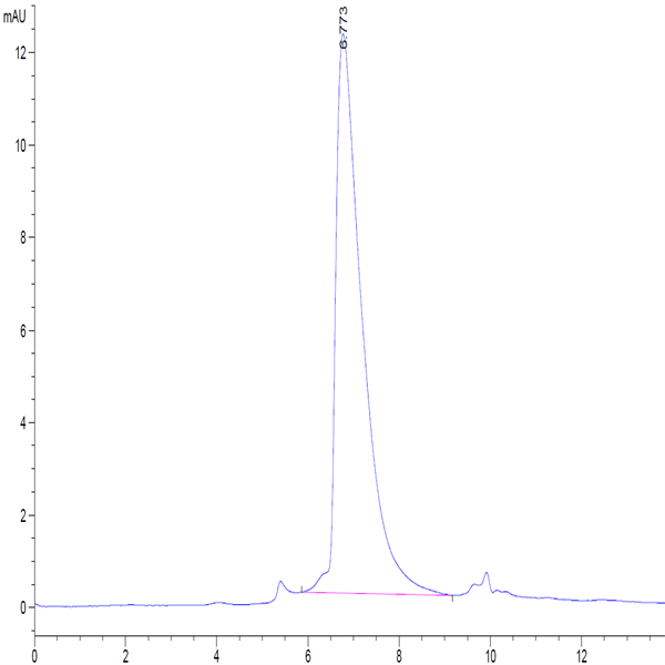 Human Siglec-15/CD33L3 Protein (SIG-HM415)