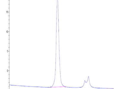 Human Siglec-9 Protein (SIG-HM419)